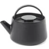 Serax INKU By Sergio Herman Theepot 600 Ml Gietijzer Zwart 1 Serax INKU By Sergio Herman Theepot 600 Ml Gietijzer Zwart -Serax b6820001 1